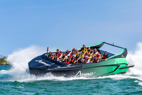 Gold Coast: Jet Boat Ride & Sea World Entry Ticket