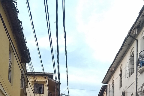 Mombasa: Private City Tour with street food and Haller Park