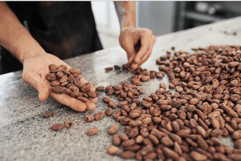 From Basel: Swiss Chocolate-Making Workshop