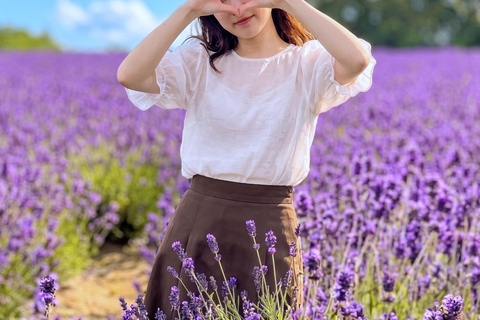 Furano Lavender, Ningle Terrace & Melon Buffet Bus Tour S1-1 [Jun 20 - Aug 9]: Lavender & Buffet