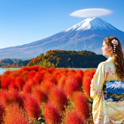 Tokyo:Mt Fuji, Chureito Pagoda, Ninja Village, Oshino Hakkai