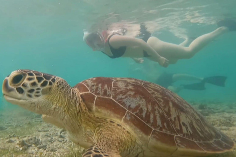 Vanaf Gili Trawangan : Groep Snorkeltour 3 Gili eiland