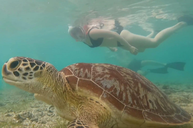 Da Gili Trawangan : Tour di gruppo di snorkeling 3 isole Gili