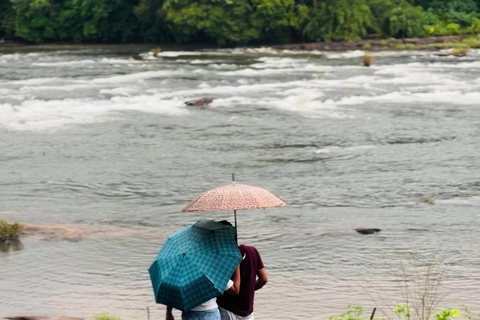 Depuis Kochi : Excursion d&#039;une journée aux chutes d&#039;eau d&#039;Athirappilly avec transferts