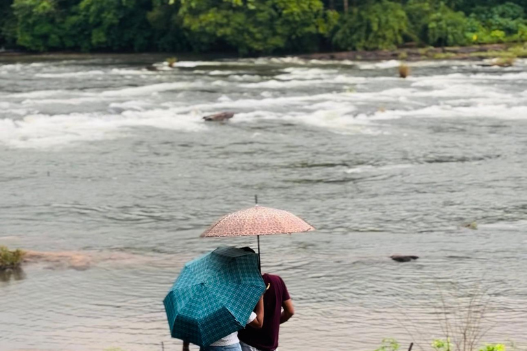 Depuis Kochi : Excursion d&#039;une journée aux chutes d&#039;eau d&#039;Athirappilly avec transferts