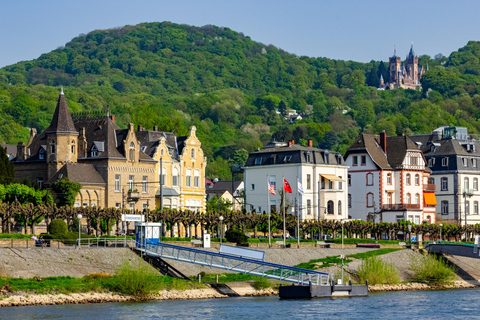 Day trip by boat from Cologne to the Siebengebirge (Königswinter)