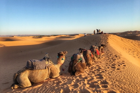 Agadir: Safari por el desierto del Sáhara en 4x4 con almuerzo