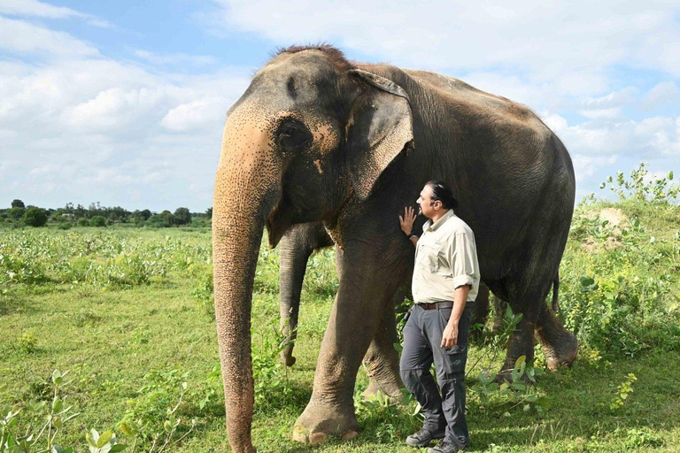 Taj Mahal Tour am selben Tag mit SOS Elephant Sanctuary