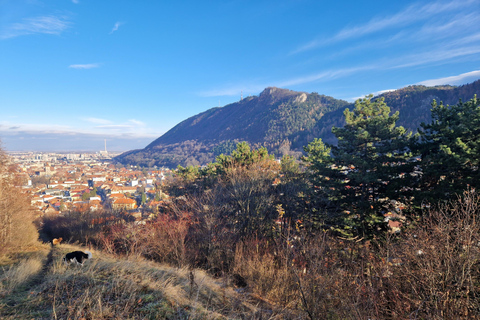 Brasov: Peles Castle, Bran Castle & Belvedere Viewpoint