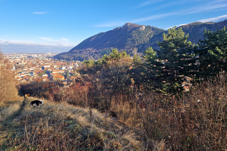 Brasov: Peles Castle, Bran Castle & Belvedere Viewpoint