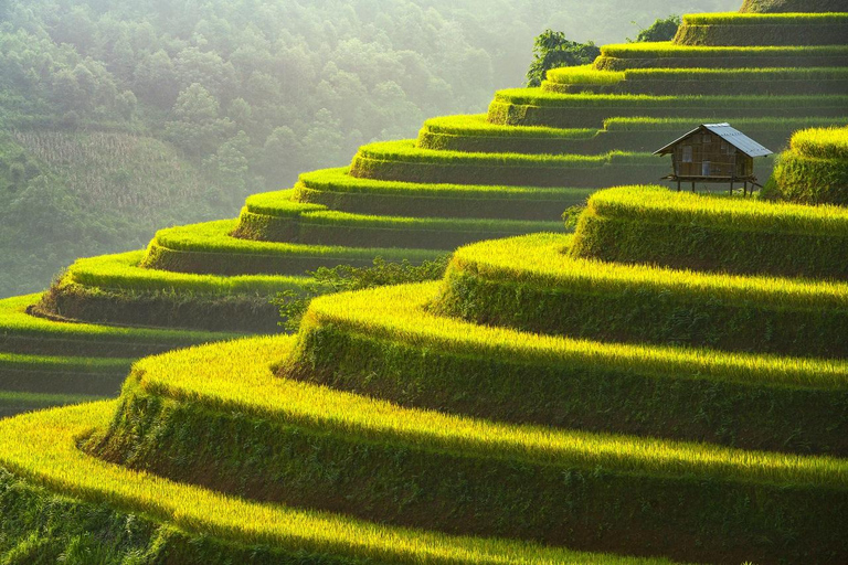 Crossing: Mu Cang Chai Rice Terraces 2-Day Tour from Hanoi