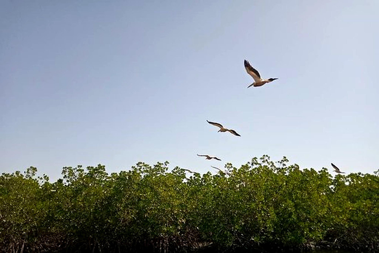 Sine Saloum Adventure from Dakar with canoe & overnight stay Sine Saloum getaway from Dakar with canoe & overnight stay