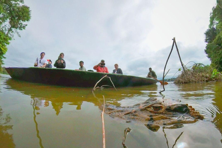 Puerto Maldonado: Lago Sandoval Day Trip with Lunch