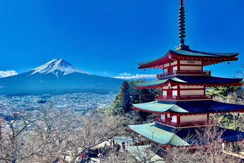 From Tokyo: Mount Fuji Sightseeing Private Group TourToyota Hiace for Up to 9 Persons Private Group Tour