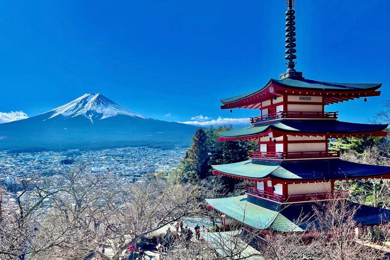 From Tokyo: Mount Fuji Sightseeing Private Group TourToyota Hiace for Up to 9 Persons Private Group Tour