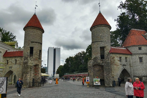 Tallinn Day Tour: Old Town Legends, Lunch & Modern Sights