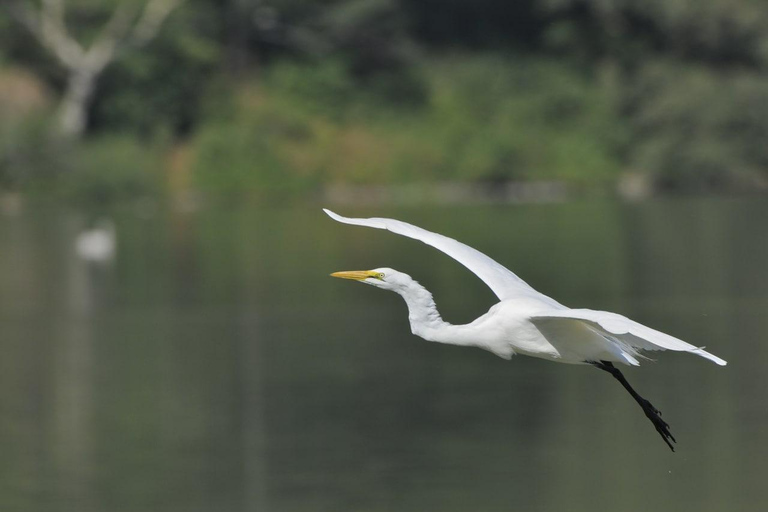 3-tägige Tagestour zum Awash National Park