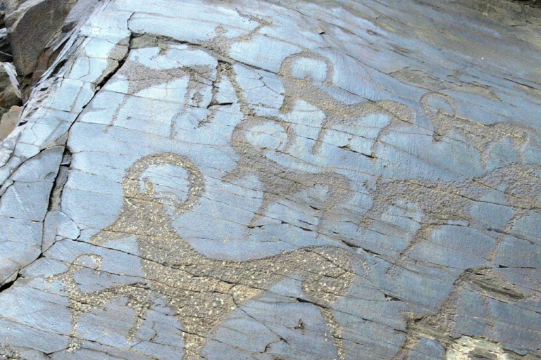 Bukhara: Nurata, Sarmyshsoy Petroglyphs & Gijduvan Day Trip Tour to Sarmyshsoy Gorge with a Small Group
