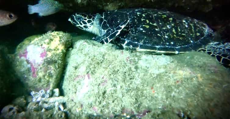 Zihuatanejo: Snorkeling in Manzanillo and Las Gatas