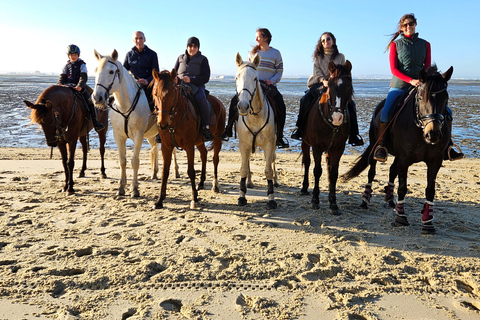 Montar a caballo en la playa - PDTPaseos a caballo por la playa en grupo