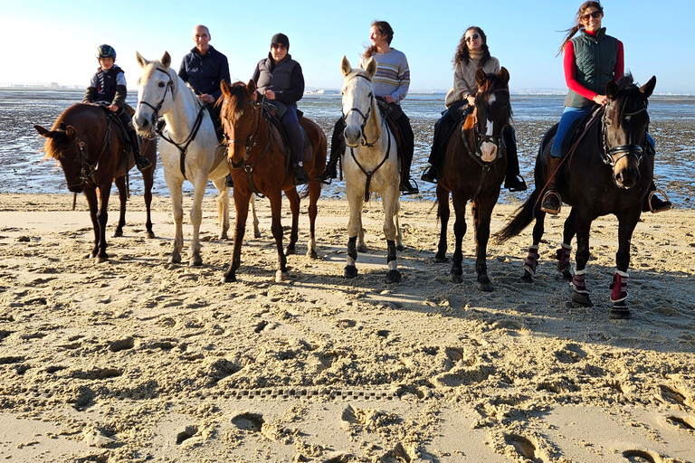 Montar a caballo en la playa - PDTPaseos a caballo por la playa en grupo