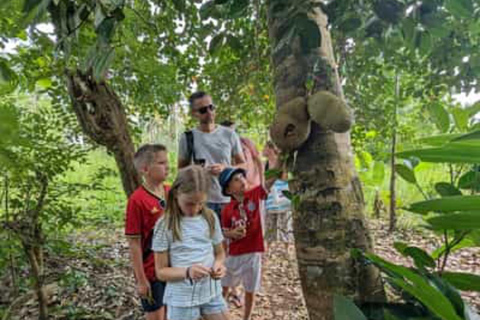 Farma przypraw, Stone Town, Prison Island i piaszczysta łacha NakupendaWYCIECZKA PRYWATNA BEZ ODBIORU Z HOTELU I TRANSPORTU POWROTNEGO