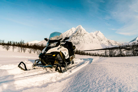 Från Tromsö: Snöskotersafari i LyngenalpernaFrån Tromsø: Snöskotersafari i Lyngenalperna