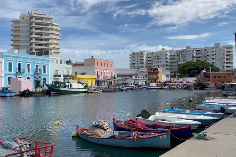 Hammamet: Bizerte Private Day Trip with Optional Lunch