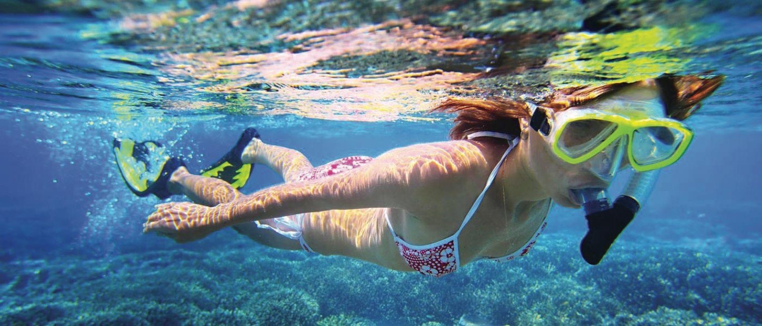Calvi/Lumio: Schnorchelausflug mit dem Boot mit Flossen, Maske und Schnorchel