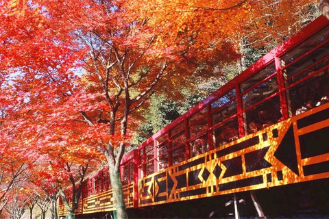 Osaka: Kyoto Private Day Tour with Sagano Scenic Railway Private Car Package