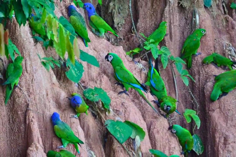Cusco: Manu Cultural Zone 4-Day Photography Experience