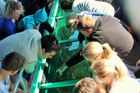 Goat Island: Glass Bottom Boat Tour