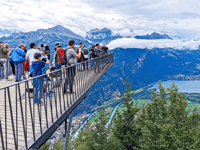 Interlaken & Grindelwald (Private Tour) - Hizvo