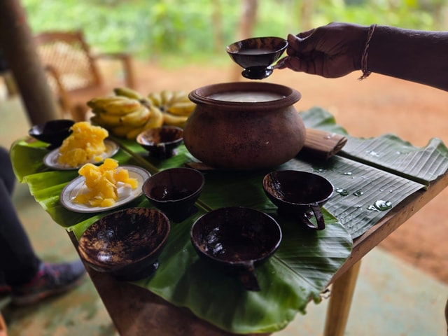 Colombo to: Sinharaja, waterfall, stream bath & toddy taste