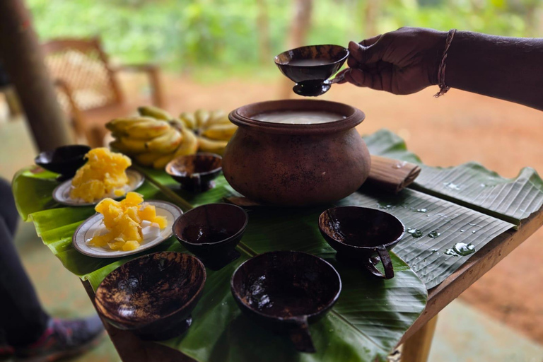 From Colombo: Sinharaja Kithul Toddy Tasting & Stream Bath