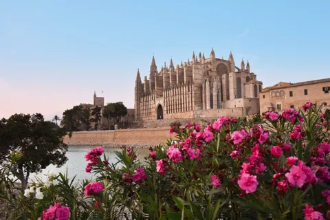 Mallorca: Instafamous Tour of Palma and North coast