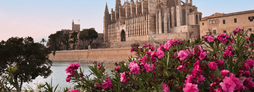 Majorque : visite Instafamous de Palma et de la côte nord.