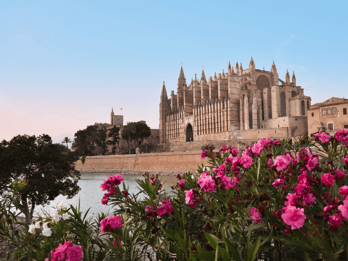 Mallorca: Instafamous Tour of Palma and North coast