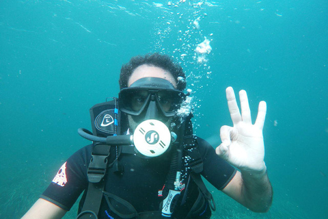 Hammamet: Guided Shore Dive for Beginners with Gear