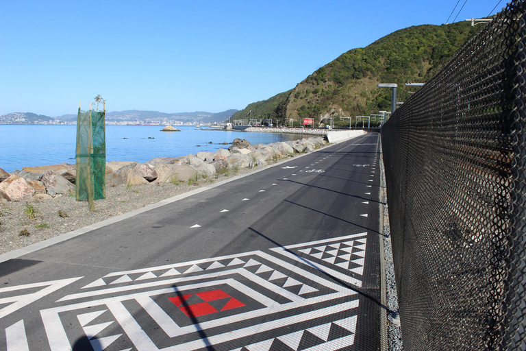 Wellington: eBike around the Harbour then Ferry back