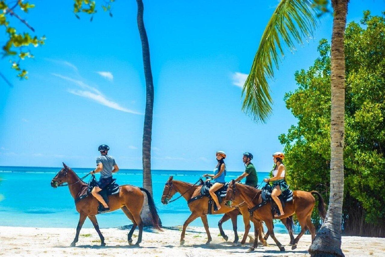 Punta Cana: Horseback Ride and Swim with Hotel Pickup