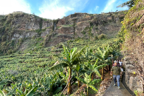 Madeira: Banana Plantation Guided Tour with Tasting