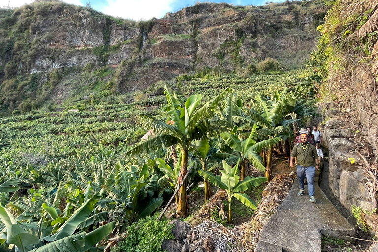 Madeira: Banana Plantation Guided Tour with Tasting