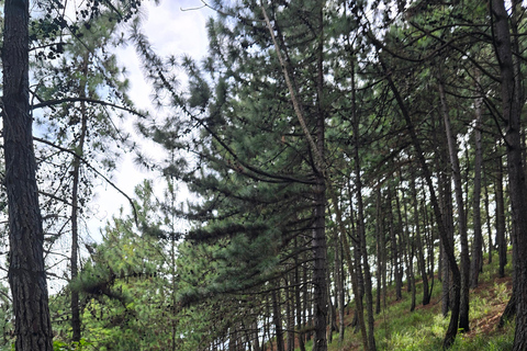 Cali: Hike to Jorobas de Camello, Views, and River Swim Cali: Hike to Jorobas de Camello, Scenic Views, and River Swim