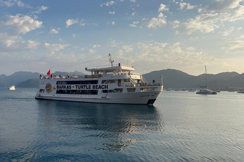 From Marmaris: Turtle Beach & Mud Bath By Boat Marmaris Dalyan Boat Tour w/Tutle Beach and Mud Bath
