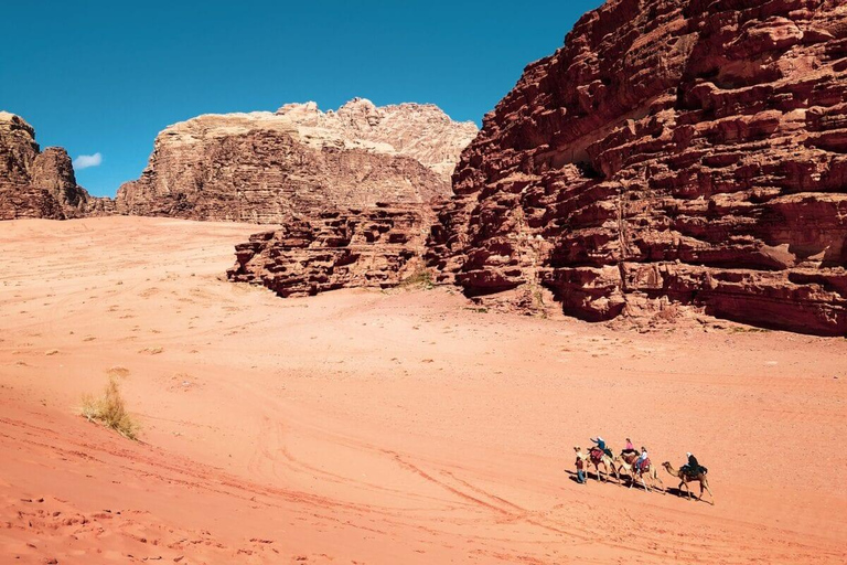 Circuit de 2 jours depuis Amman vers Petra, Wadi Rum et la mer Morte