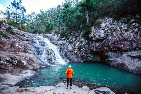 Brisbane: Hop on Hop off Bus naar Tamborine Mountain