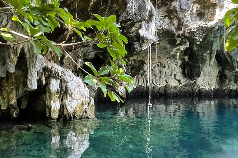 Zanzibar: Jozani Forest, Maalum Cave & Mtende Beach Tour Private Tour with Hotel Pickup (South Zanzibar Only)