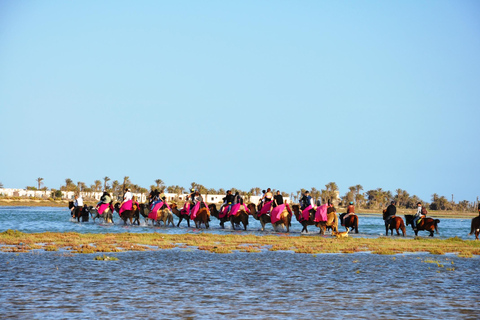 DJERBA: KAMEEL EN PAARD (2U30).