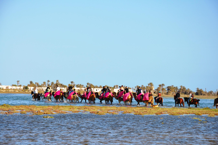 DJERBA : CAMELLO Y CABALLO (2H30).